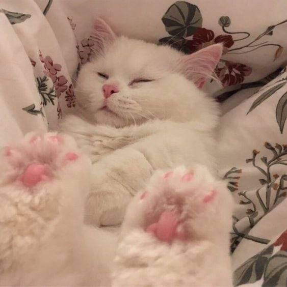 3 4 ‚у