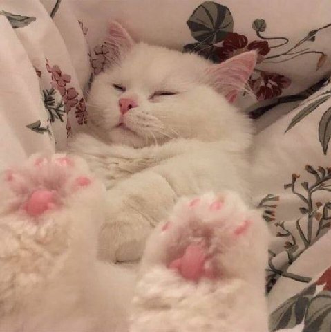 3 4 ‚у