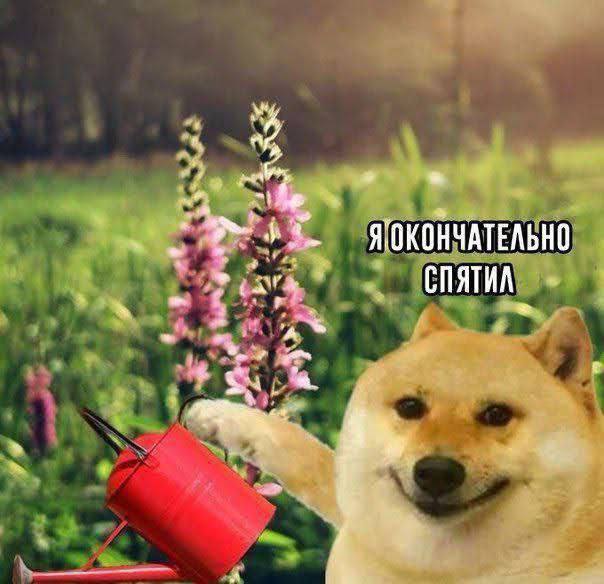 ОКОНЧАТЕЛЬНО СПЯТИЛ