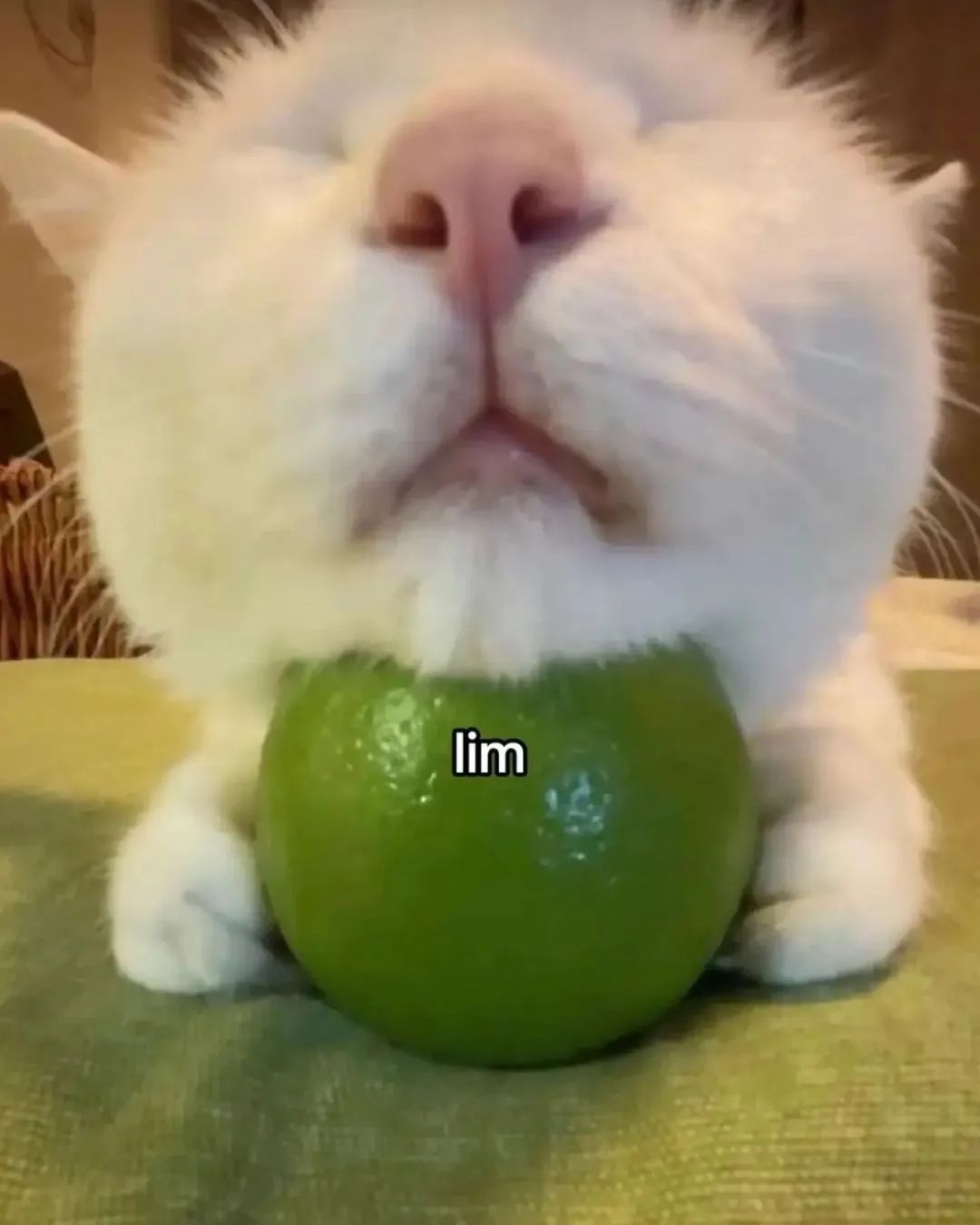 lim