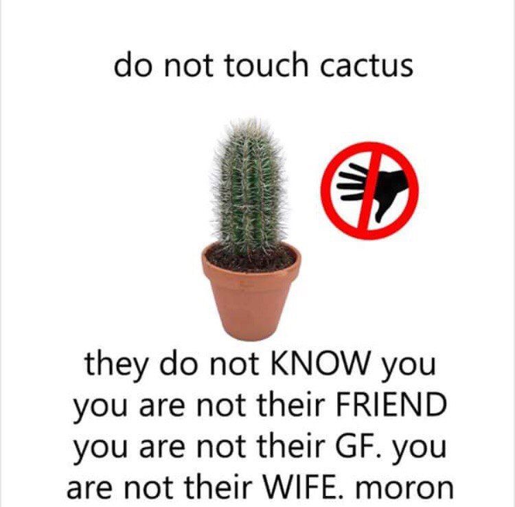 not touch cactus they not KNOW you you are not their FRIEND you are not their you are not their WIFE. moron