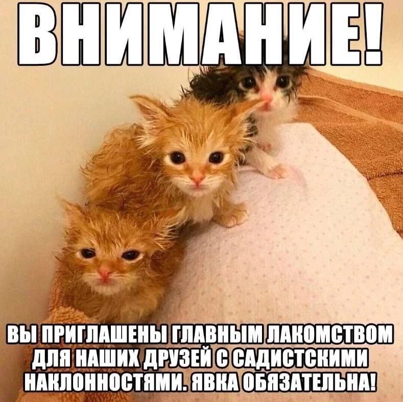 Be if у 4 ВЫ ПРИГЛАШЕНЫ ГЛАВНЫМ ЛАКОМСТВО ДЛЯ НАШИХ ДРУЗЕЙ С САДИСТСКИМИ НАКЛОННОСТЯМИ ЯВКА ОБЯЗАТЕЛЬНА!