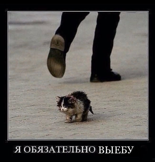 Я ОБЯЗАТЕЛЬНО ВЫЕБУ