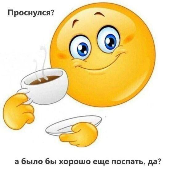 Проснулся? а было бы хорошо еще поспать, да?
