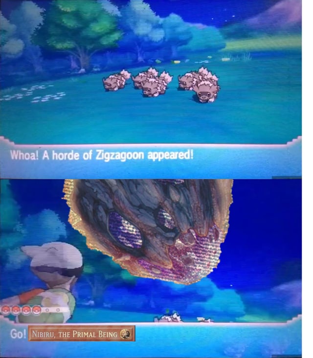 1 A horde of Zigzagoon appeared! cap PRIMAL