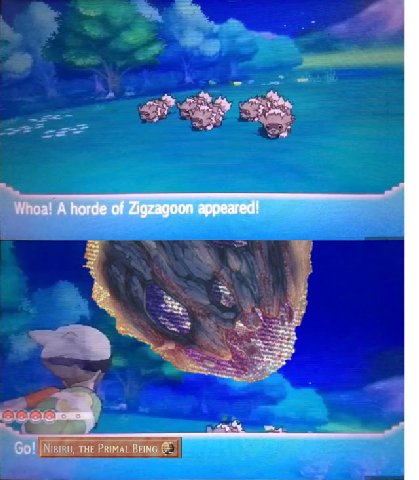 1 A horde of Zigzagoon appeared! cap PRIMAL