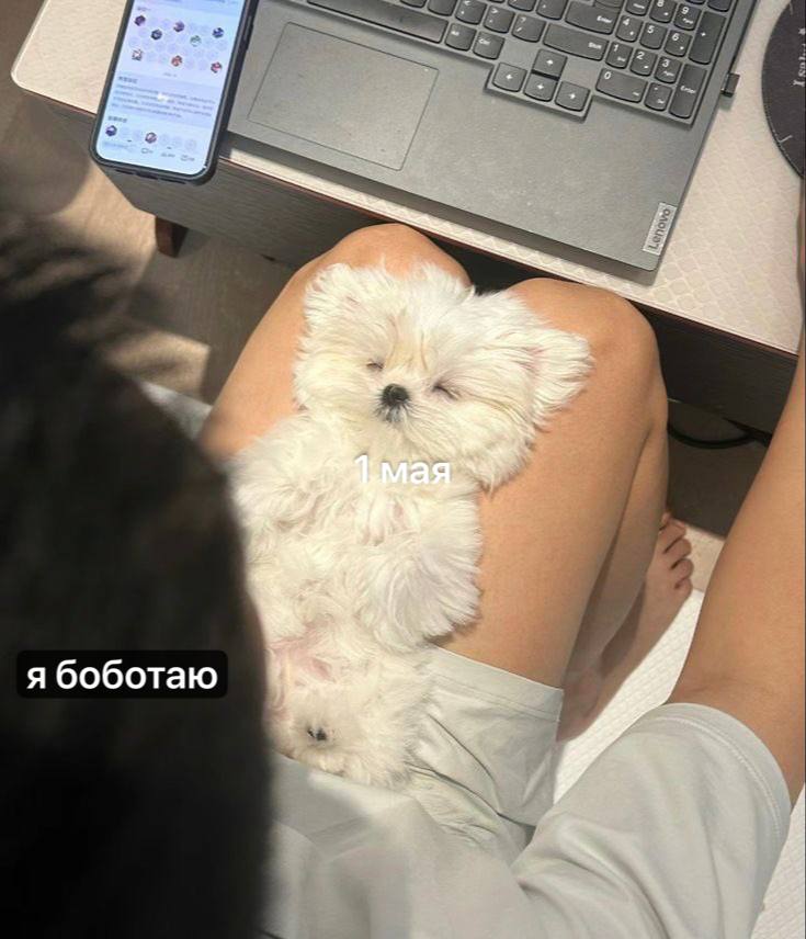 я боботаю