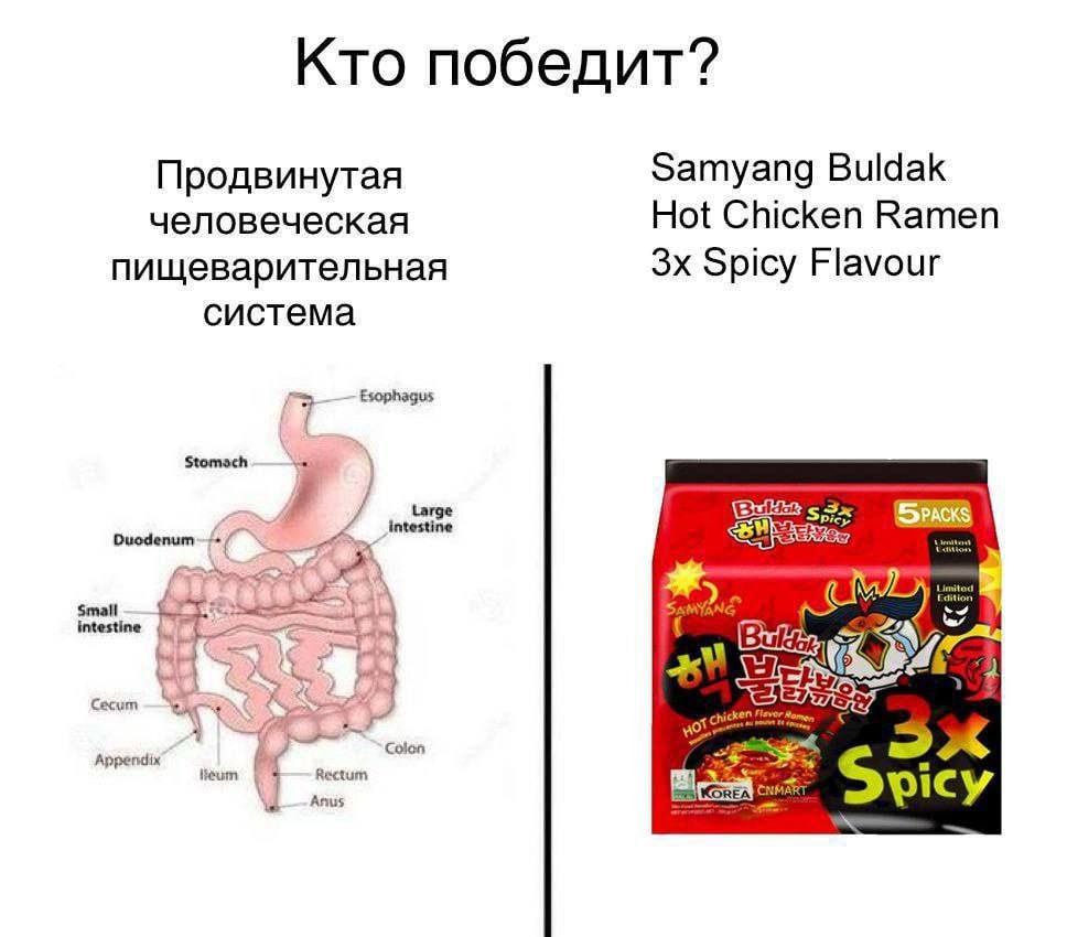 Кто победит? Samyang Buldak Продвинутая человеческая Hot Chicken Ramen пищеварительная Spicy Flavour система Esophagus Stomach intestine Picy Duodenum intestine [4 Сесит Appendix feum Rectum Anus picy