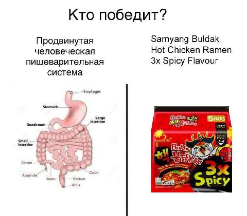 Кто победит? Samyang Buldak Продвинутая человеческая Hot Chicken Ramen пищеварительная Spicy Flavour система Esophagus Stomach intestine Picy Duodenum intestine [4 Сесит Appendix feum Rectum Anus picy