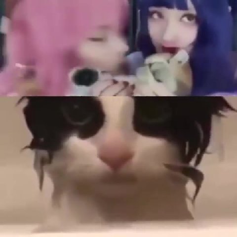 мем