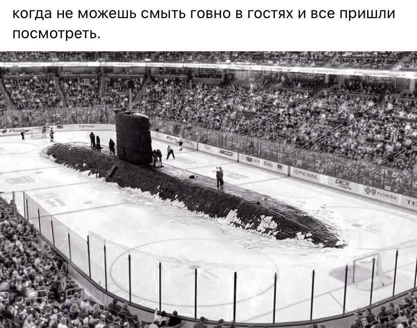когда не можешь смыть говно в гостях и все пришли посмотреть. 4 6%: 4
