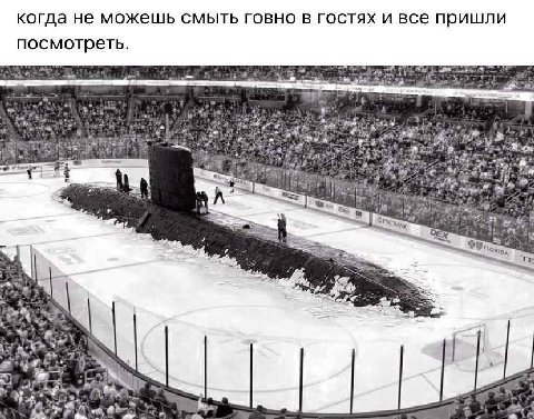 когда не можешь смыть говно в гостях и все пришли посмотреть. 4 6%: 4
