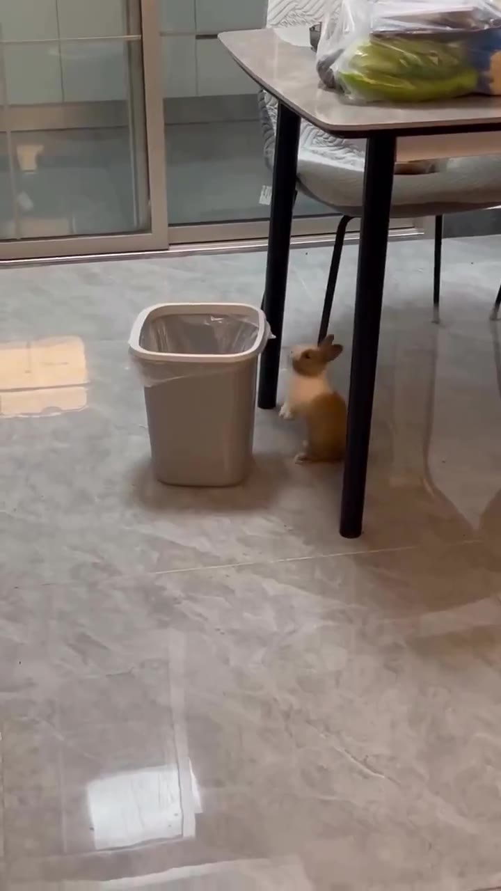 у