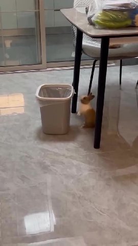 у