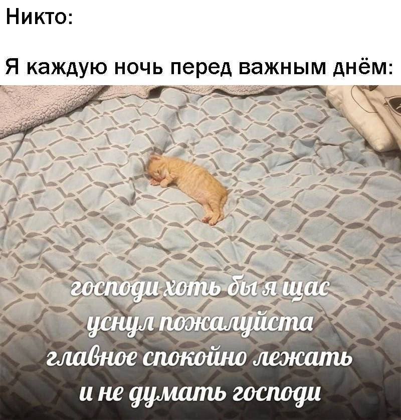 Никто: Я каждую ночь перед важным AHEM: 4 a ине думать господи