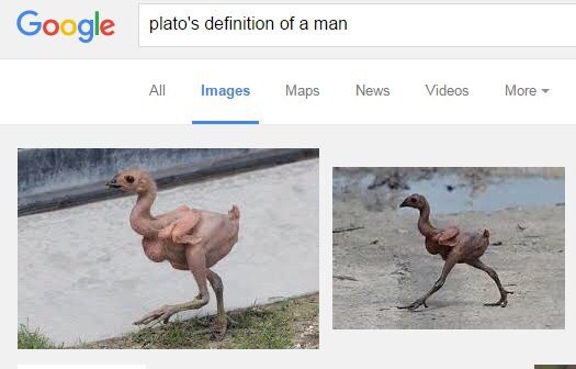 Google plato's definition of a man All Images Maps News Videos More
