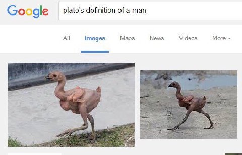 Google plato's definition of a man All Images Maps News Videos More