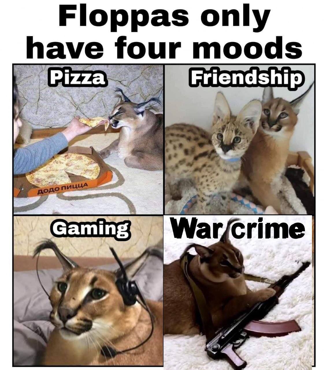 Floppas only have four moods me