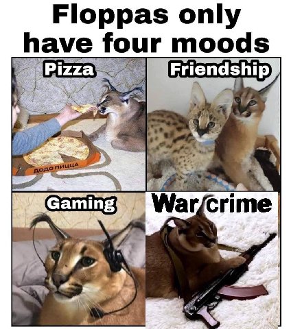 Floppas only have four moods me