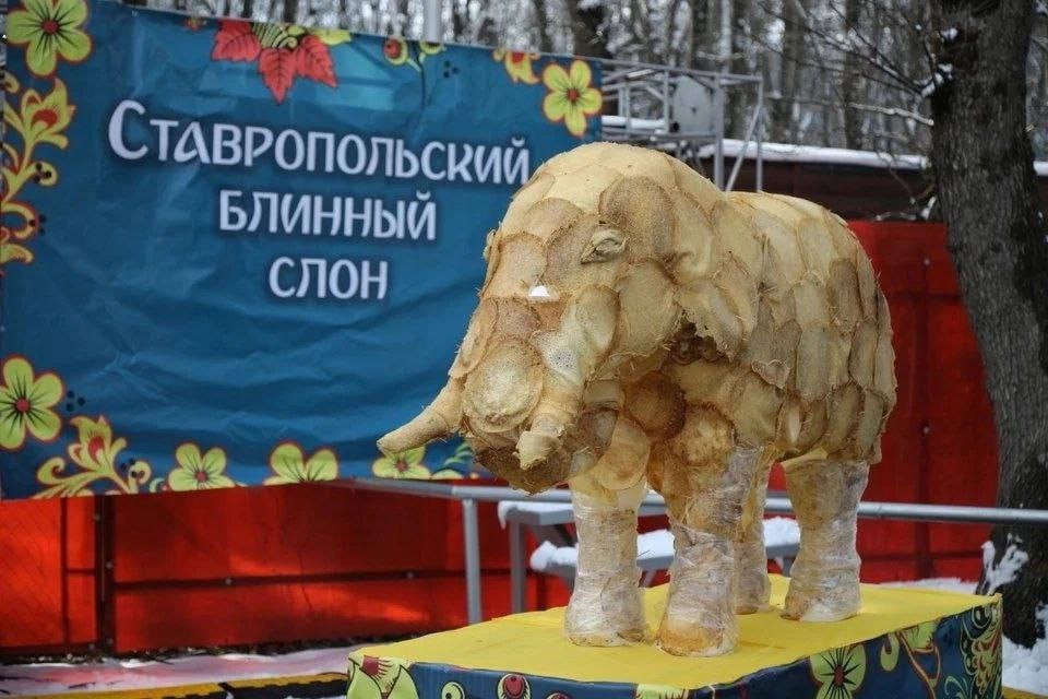 ТАВРОПОЛЬСКИЙ ЬЛИННЫЙ СЛОН at