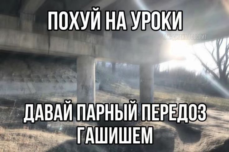 ПОХУИ НА УРОКИ И ДАВАЙ ПАРНЫЙ ГАШИШЕМ