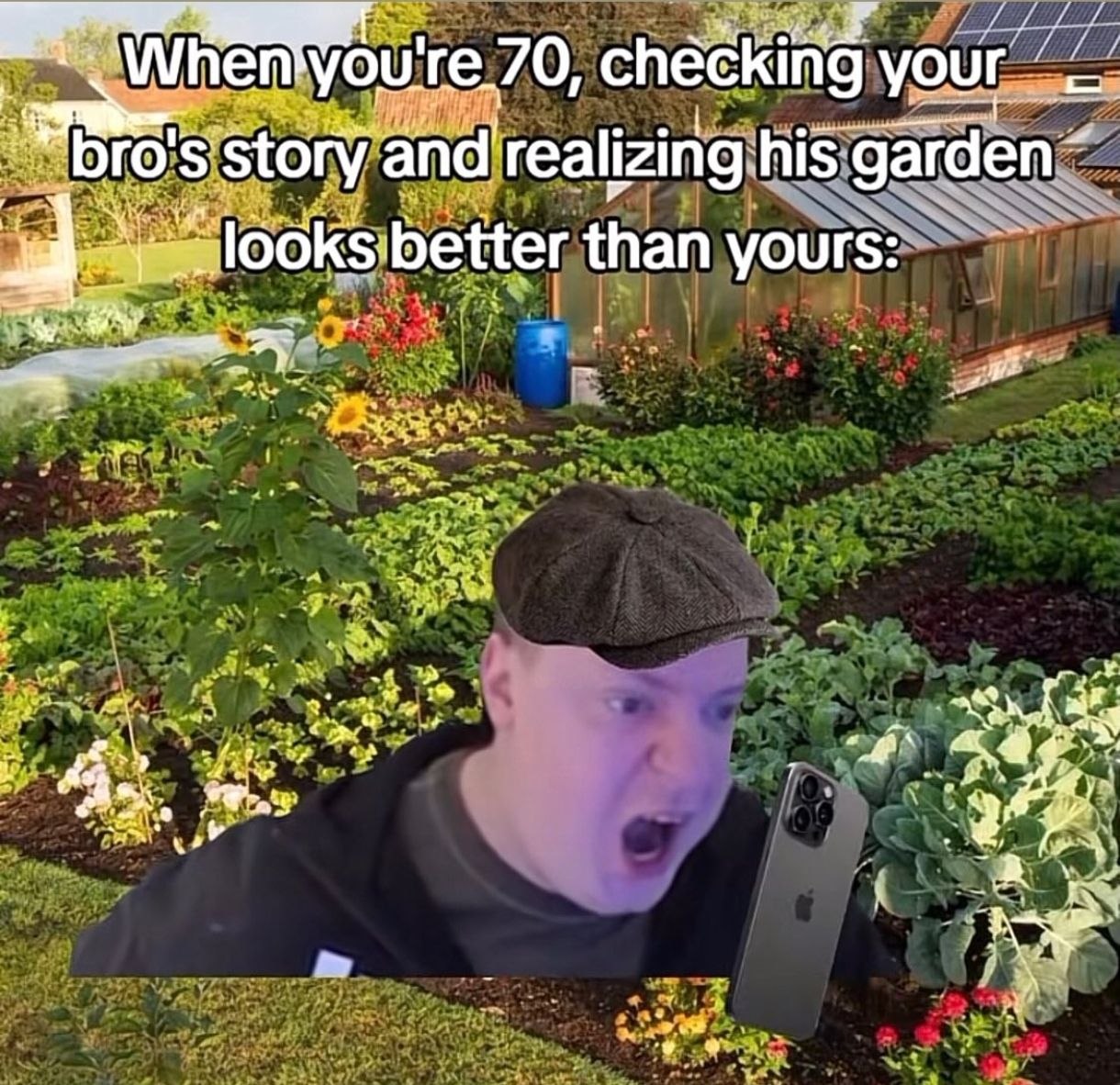 Prt 70, checking story and realizing his garden looksibetter than yours: WE