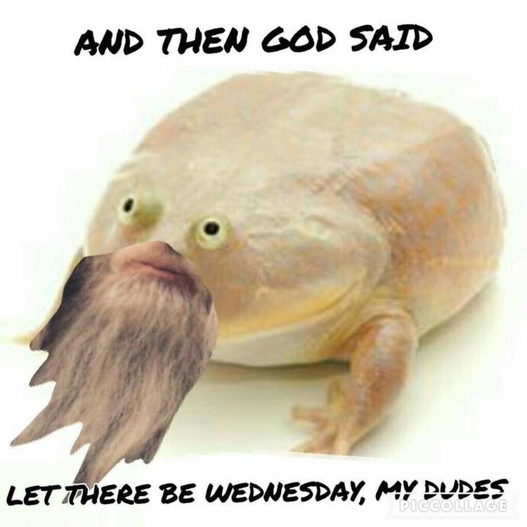 AND THEN GOD SAID LET THERE BE WEDNESDAY, MY DUDES