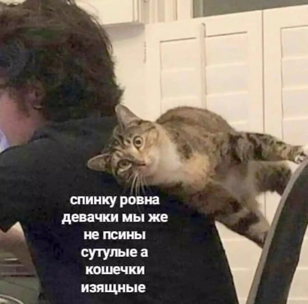 спинку ровна 7 девачки мы же не псины сутулыеа уту кошечки изящные