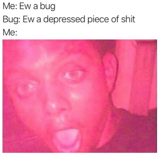 a bug Bug: a depressed piece of shit Me: 4