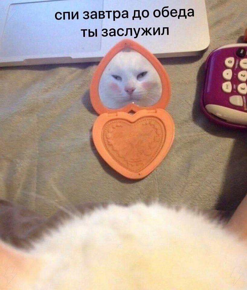спи завтра до обеда ты заслужил 4