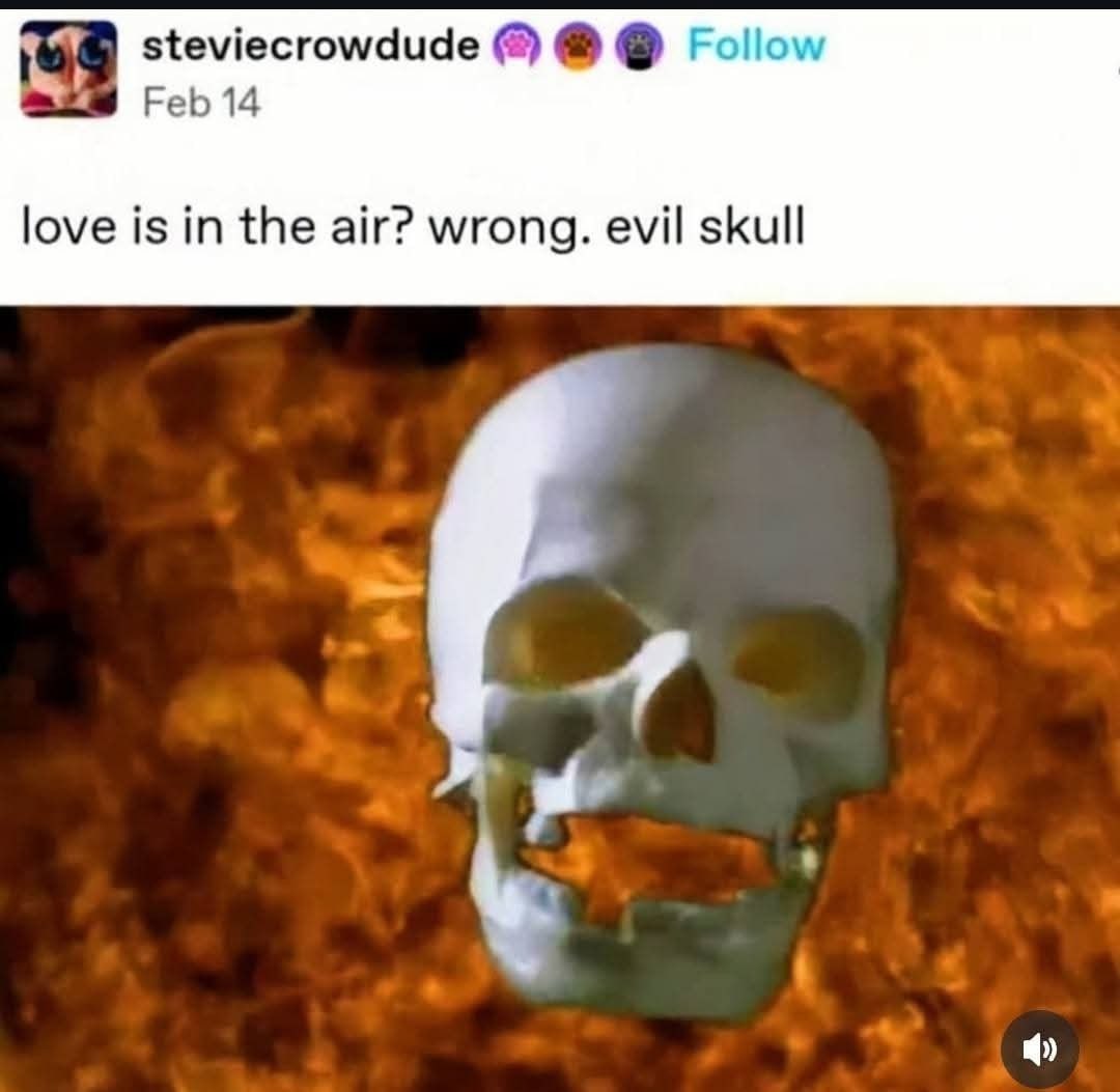 steviecrowdude Follow Feb 14 love is in the air? wrong. evil skull