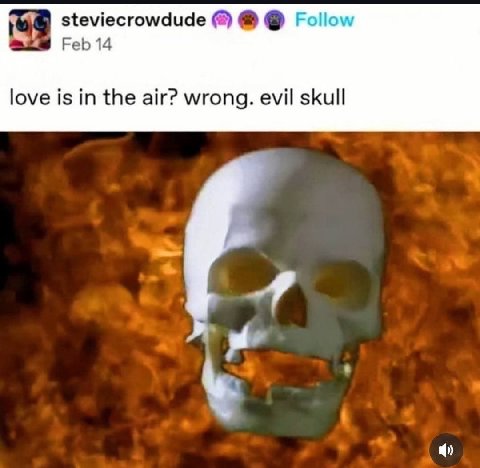 steviecrowdude Follow Feb 14 love is in the air? wrong. evil skull