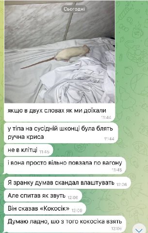Сьогодн! off якщо в двух словах дохали 11:44 у Tina на шконщ була блять ручна криса 11:44 не в вона просто вльно повзала по вагону 11:45 Я зранку думав скандал влаштувать Але спитав 3BYTb 12-05 7 BiH 