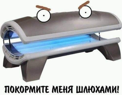 ПОКОРМИТЕ МЕНЯ ШАЮХАМИ!