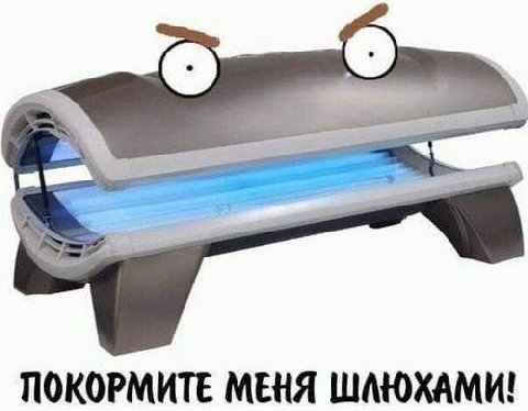 ПОКОРМИТЕ МЕНЯ ШАЮХАМИ!