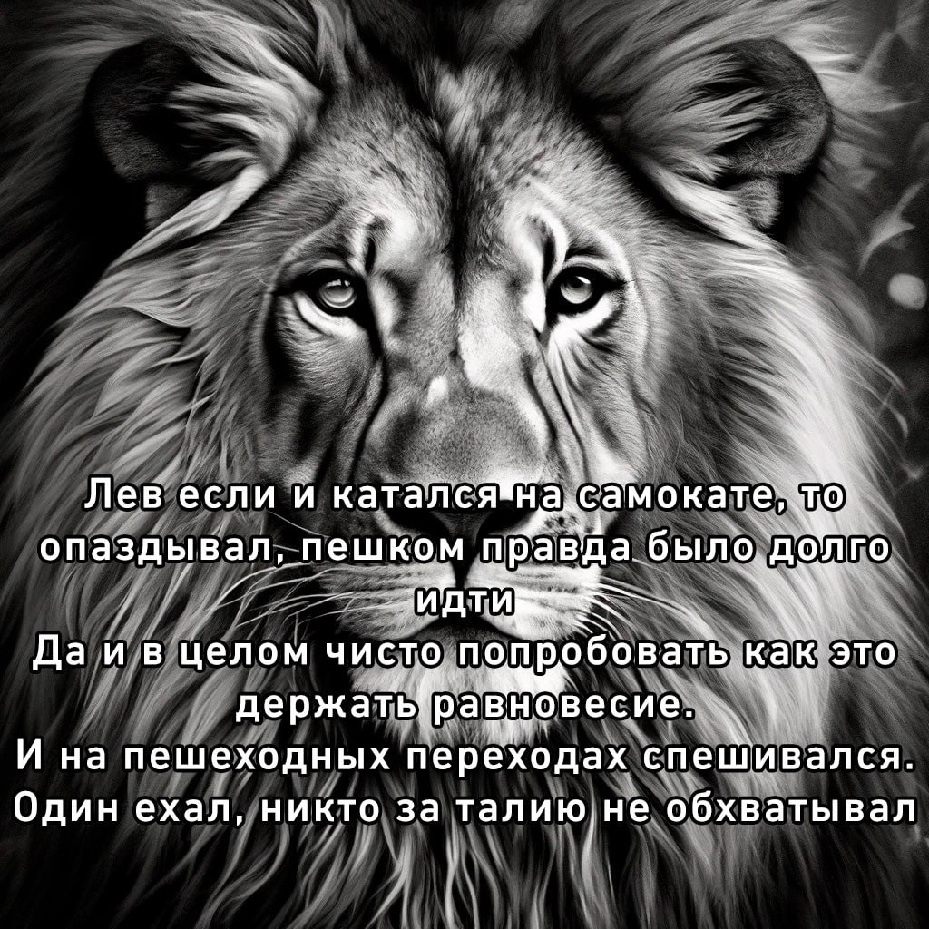 Лев если и катался на самокате, опаздывал, пешком правда было, a Да и в целом чисто по пробовать как это И на пешеходных переходах спешивался. Один ехал, никто за обхватывал