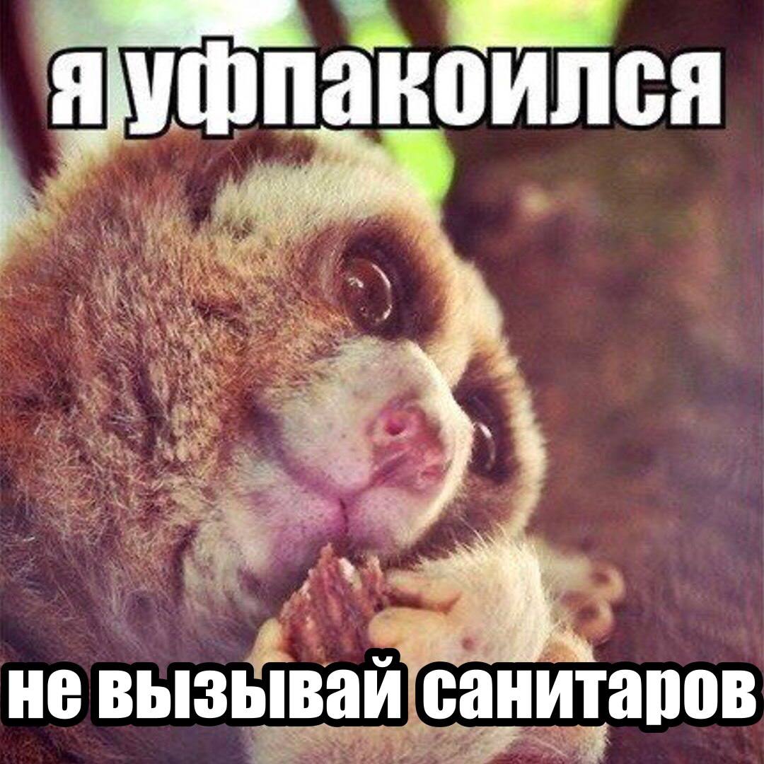 невызывай санитаров