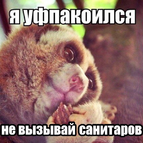 невызывай санитаров