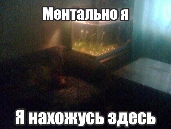 Ментально я Я нахожусь здесь