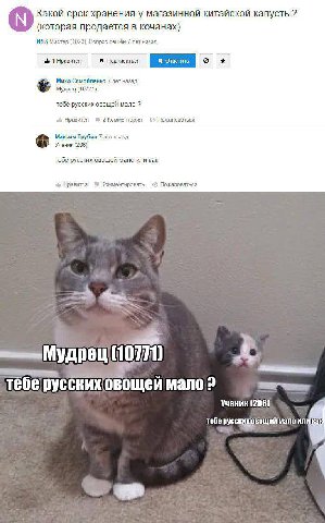 Какой срок хранения у магазинной китайской капусты? (которая продается в кочанах) NSS Мастер (1023), Вопрос решён 7 лет назад 1 Нравится Миха Самойленко 7 лет назад Мудрец (10771) тебе русских овощей 