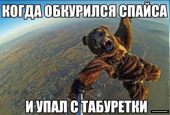 когда обкурился спайса и упал с табуретки
