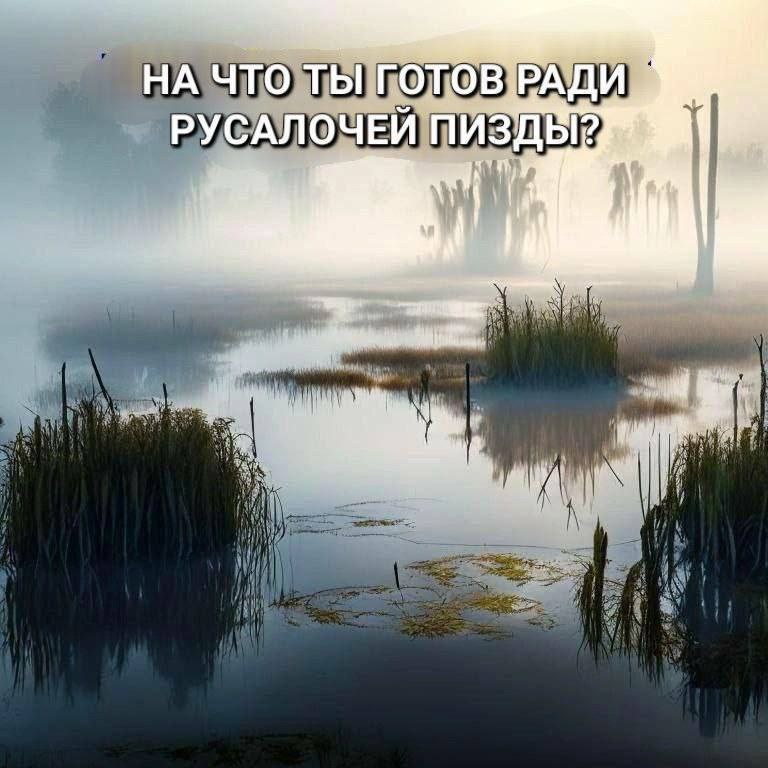 НА ЧТО ТЫ готов РАДИ. РУСАЛОЧЕЙ ПИЗДЫ? 4 if