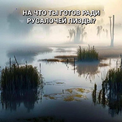 НА ЧТО ТЫ готов РАДИ. РУСАЛОЧЕЙ ПИЗДЫ? 4 if