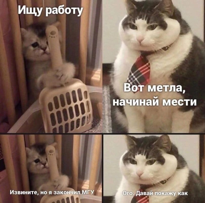 Ищу работу Вот метла, начинай мести Извините, но я закончил МГУ Ого. Давай покажу как