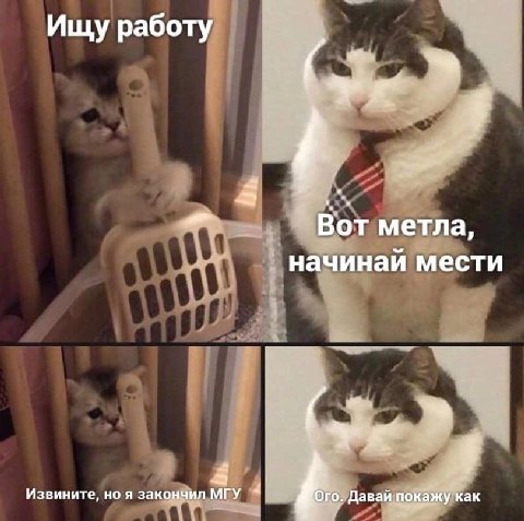 Ищу работу Вот метла, начинай мести Извините, но я закончил МГУ Ого. Давай покажу как