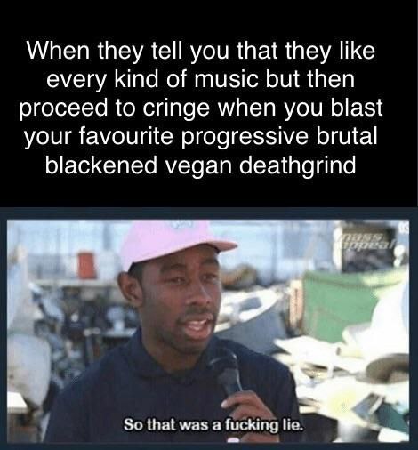 When they tell you that they like every kind of music but then proceed to cringe when you blast your favourite progressive brutal blackened vegan deathgrind So that was a fucking Не.