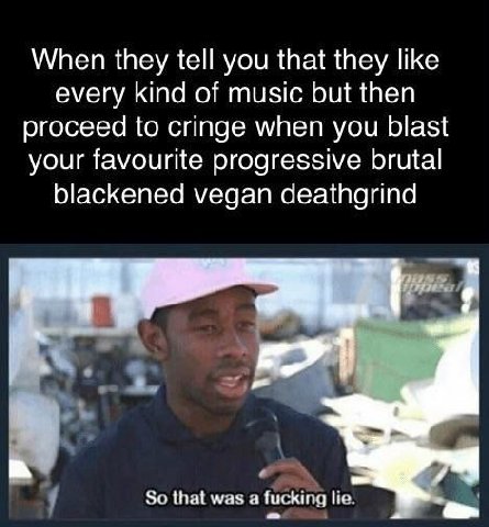 When they tell you that they like every kind of music but then proceed to cringe when you blast your favourite progressive brutal blackened vegan deathgrind So that was a fucking Не.