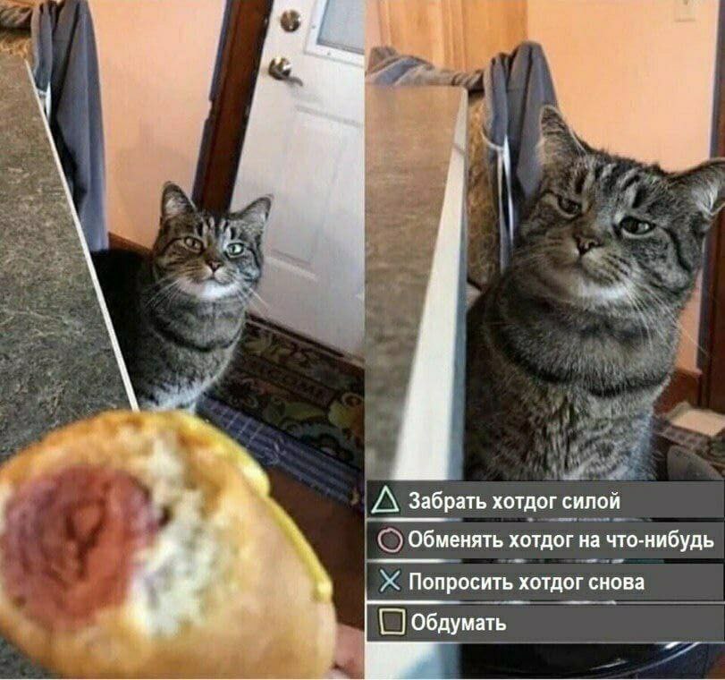 у А Забрать хотдог силой Обменять хотдог на что-нибудь Ж Попросить хотдог снова Обдумать