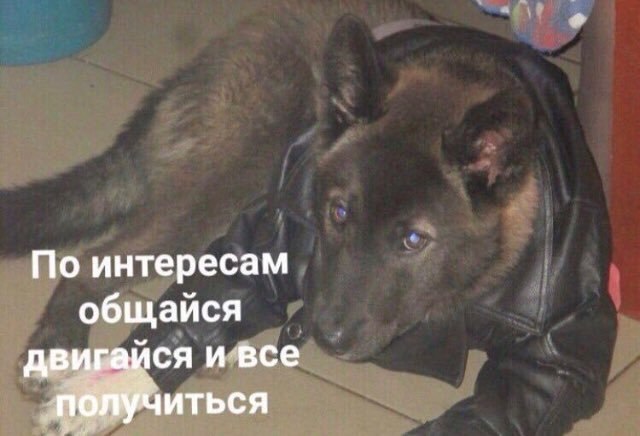 По интересам общайся двигайся и все получиться