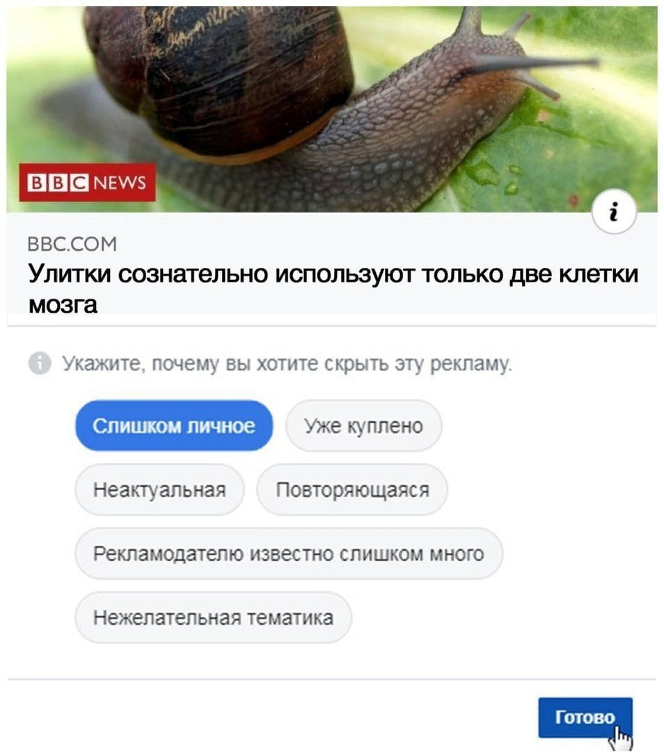 NEWS BBC.COM Улитки сознательно используют только две клетки мозга Укажите, почему вы хотите скрыть эту рекламу. Неактуальная Повторяющаяся Рекламодателю известно слишком много Нежелательная тематика